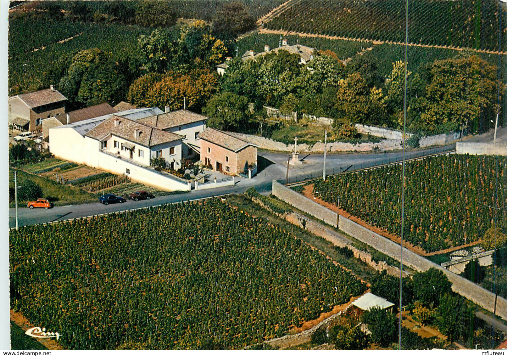 71* CHAINTRE  Domaine De La Bergerie « pouilly Fuisse »  (CPM 10x15cm)    RL18,0971 - Viñedos