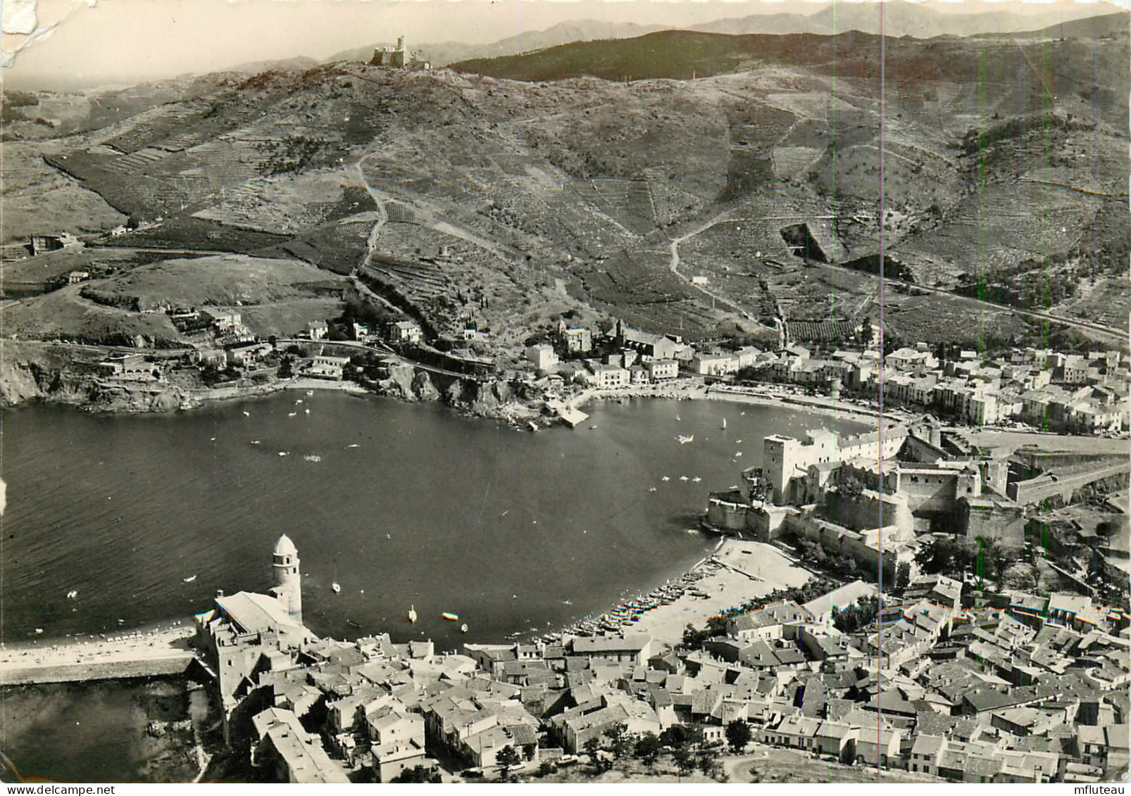 66* COLLIOURE  Vue Generale    (CPSM 10x15cm)       RL18,0697 - Collioure