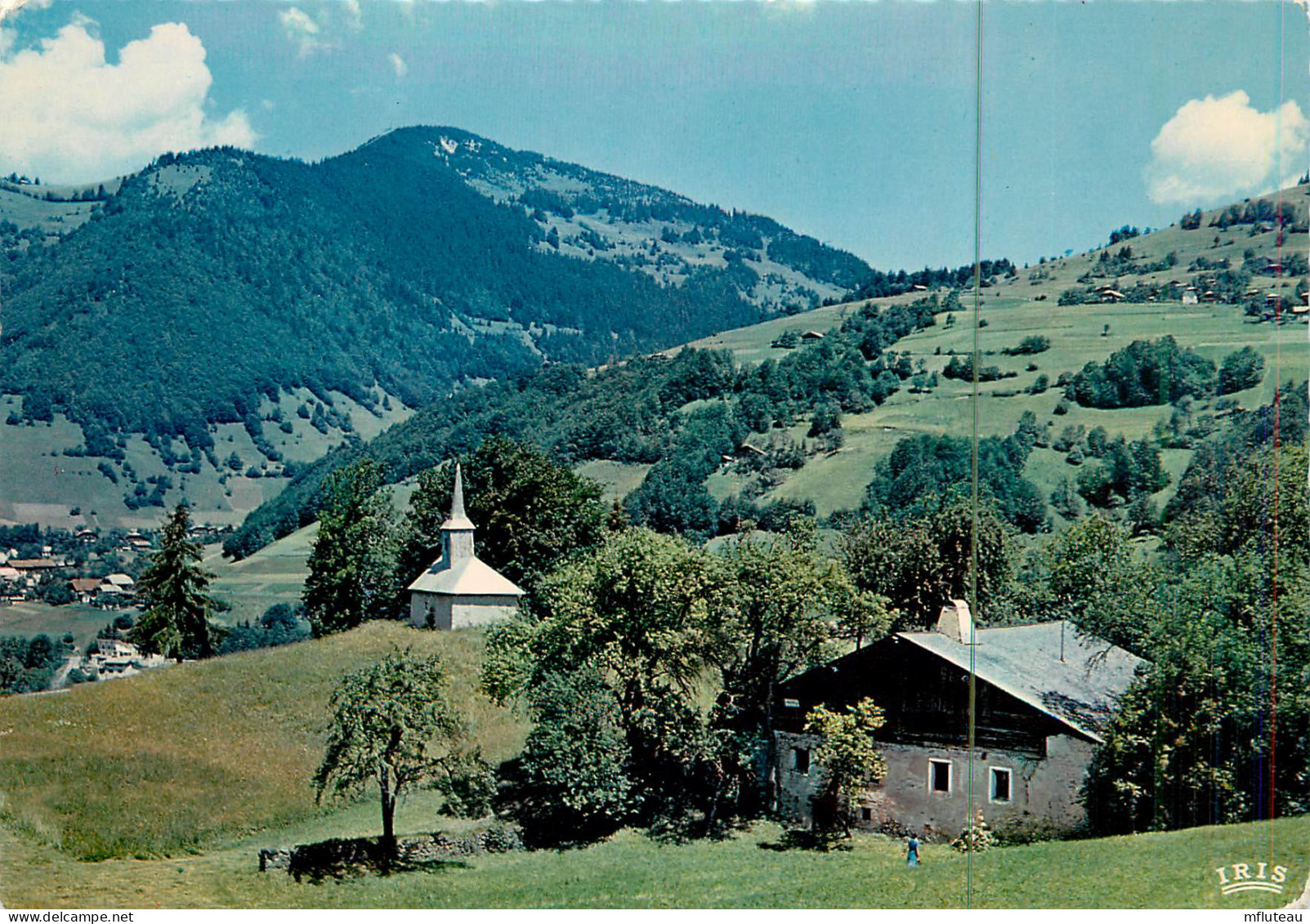 74* ST JEAN D AULPS  Vue Generale   (CPSM 10x15cm)     RL18,1348 - Saint-Jean-d'Aulps