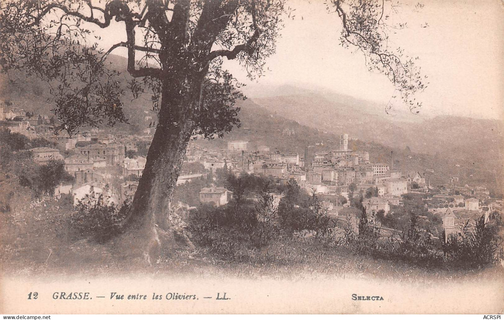 06   GRASSE   Vue Générale Panoramique  Sur La Ville     (Scan R/V) N° 61 \MR8015 - Grasse