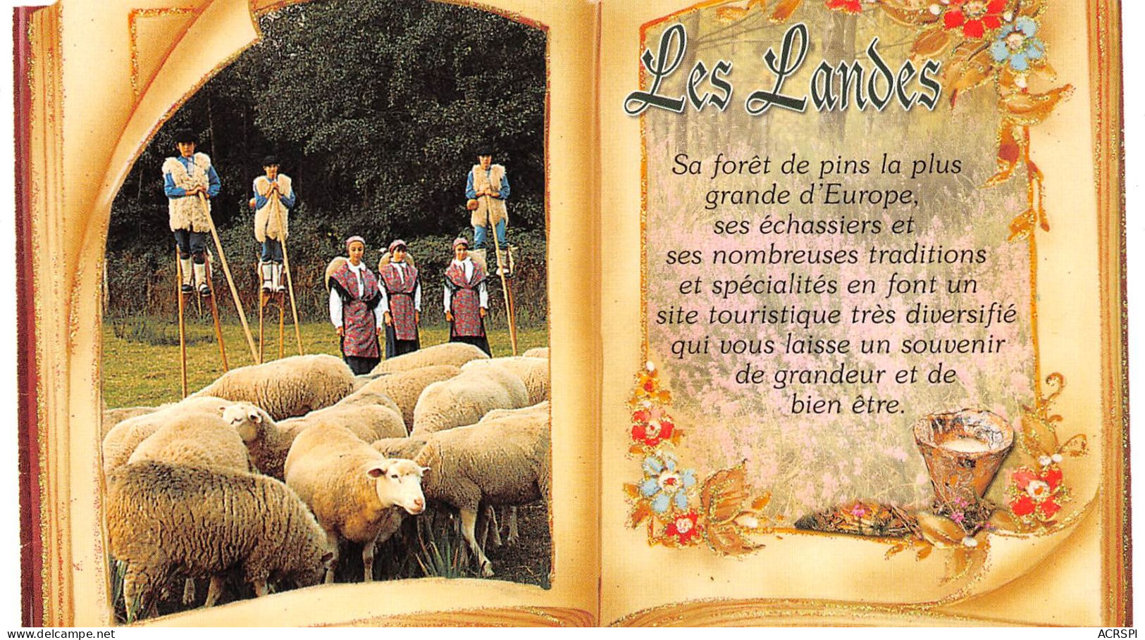 40    Les LANDES  éd Grand Sud Moutons Et échasses  (Scan R/V) N°  52   \MR8025 - Autres & Non Classés