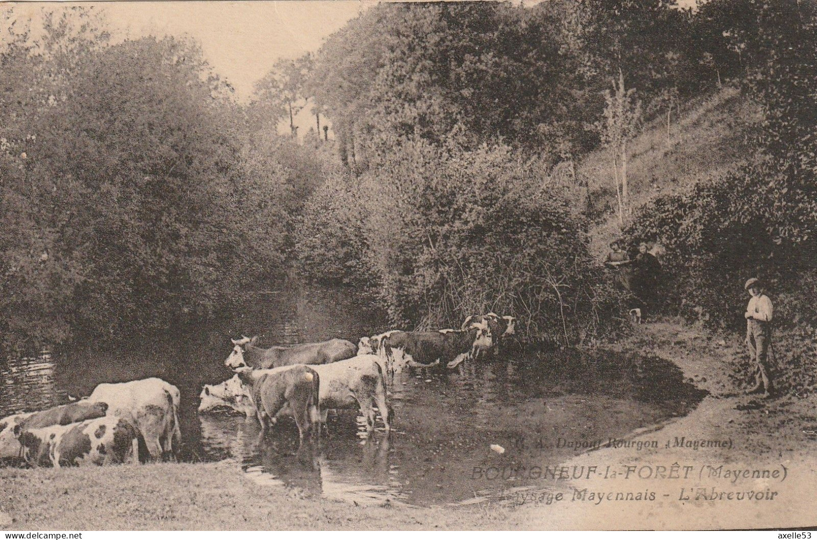 Bourgneuf-la-Foret 53 (10421) Paysage Mayennais - L'Abreuvoir, Rare - Autres & Non Classés