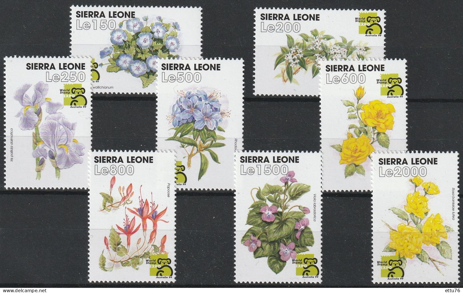 Sierra Leone  1999  Flowers  Set  MNH - Other & Unclassified