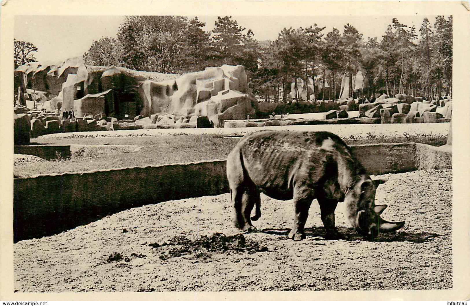 75* PARIS  Bois De Vincennes – Parc Zoo -   Rhinoceros RL29,1185 - Parchi, Giardini