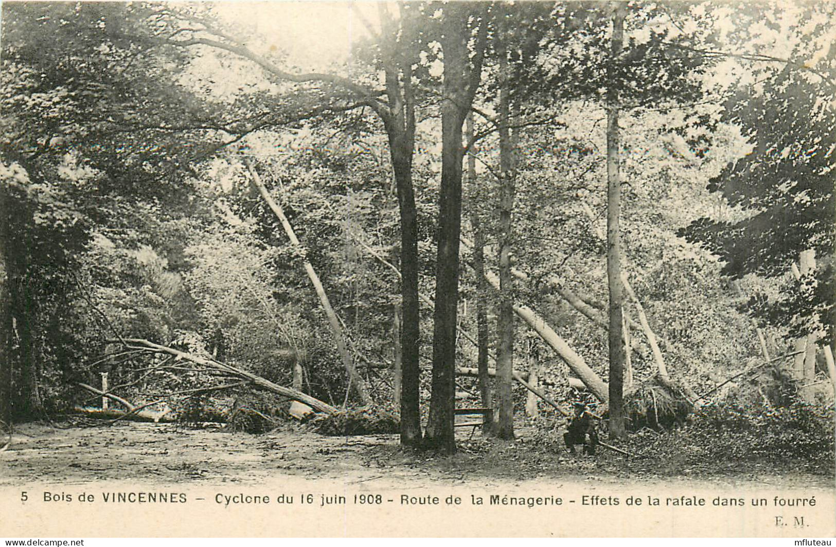 75* PARIS  Bois De Vincennes –   Cyclone – Route De La Menagerie  RL29,1176 - Parks, Gärten