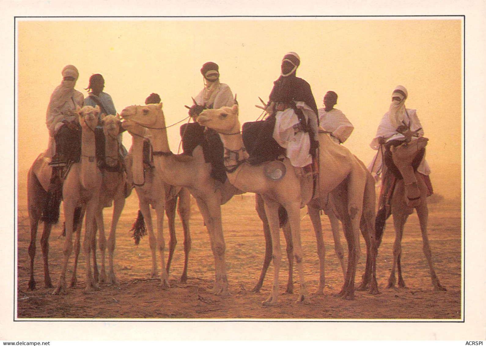 NIGER Niamey   Teguidda N'Tessoumt Le Cure Salée Touaregs Méharistes          (Scan R/V) N°   9   \MR8054 - Niger