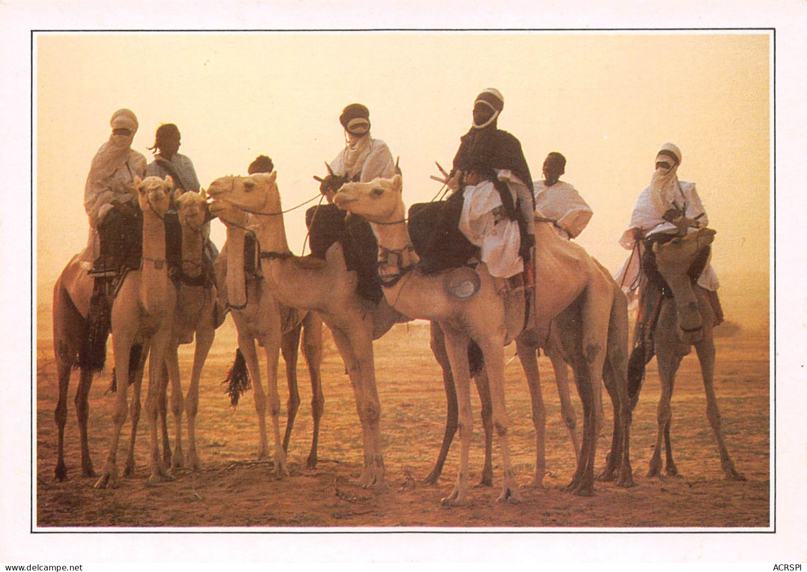NIGER Niamey   Teguidda N'Tessoumt Le Cure Salée Touaregs Méharistes          (Scan R/V) N°   8   \MR8054 - Níger