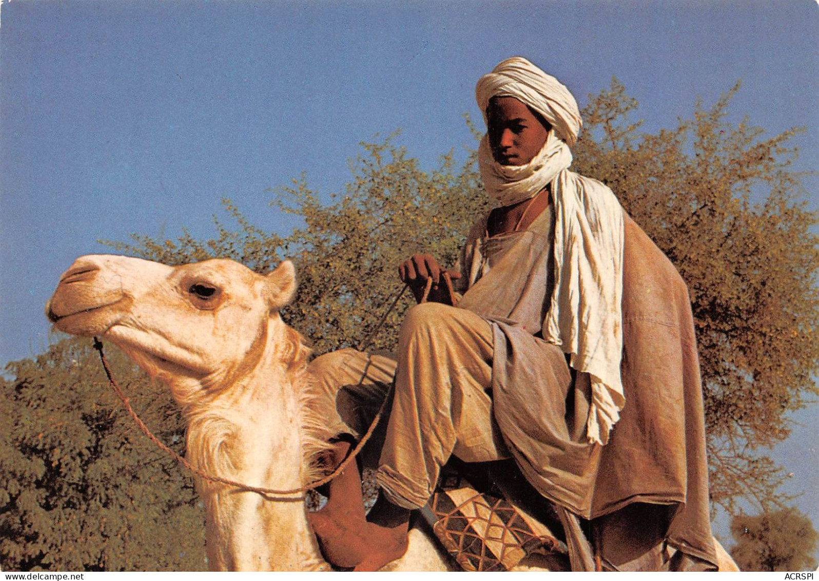 NIGER Niamey  Jeune Targui DOLBEL          (Scan R/V) N°   7   \MR8054 - Niger