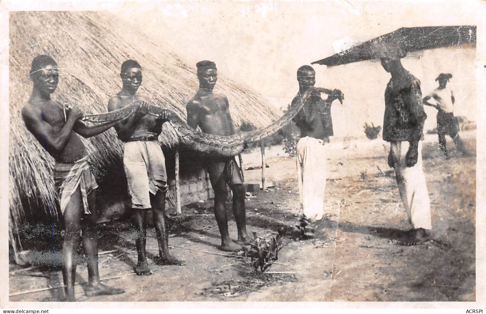 GUINEE Française Vialla Tenaille Capture Serpent BOA  Poto-poto Coyah     (Scan R/V) N°    30     \MR8054 - French Guinea