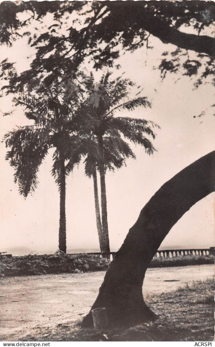 GUINEE CONAKRY   Corniche à Coté Du Trésor   (Scan R/V) N°    23   \MR8053 - Guinée Française