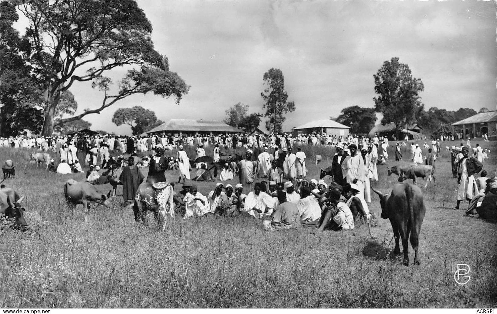 GUINEE CONAKRY   Dalaba Le Marché Aux Bestiaux        (Scan R/V) N°    25   \MR8053 - Guinea Francese