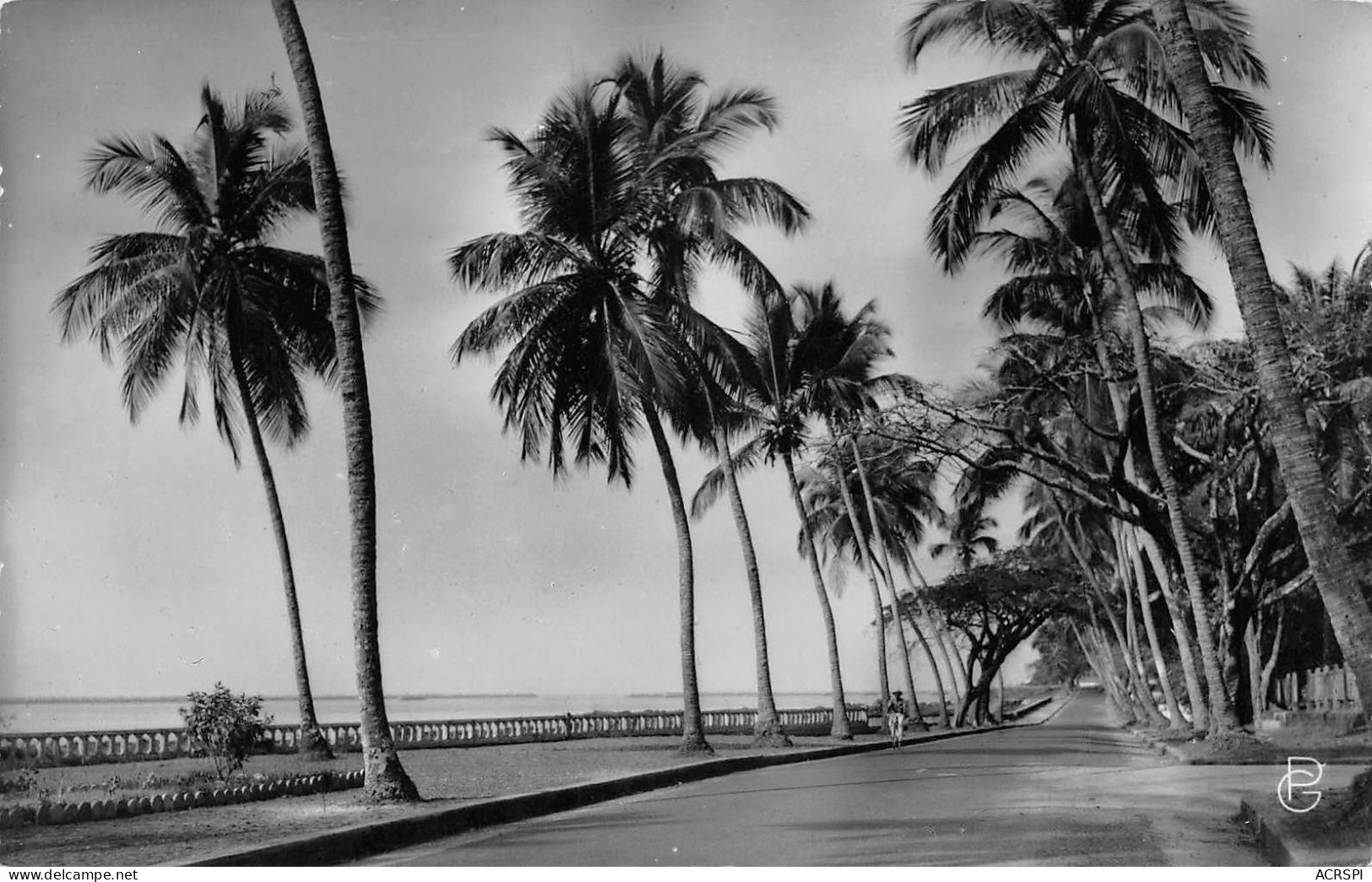 GUINEE FRANCAISE CONAKRY La Corniche   (Scan R/V) N°   2   \MR8053 - French Guinea