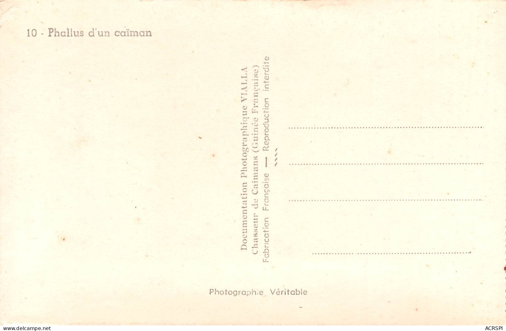 10 Cartes Chasse Au Caïman  GUINEE Française Vialla  Coyah   (Scan R/V) N°    37     \MR8054 - Guinea Francese