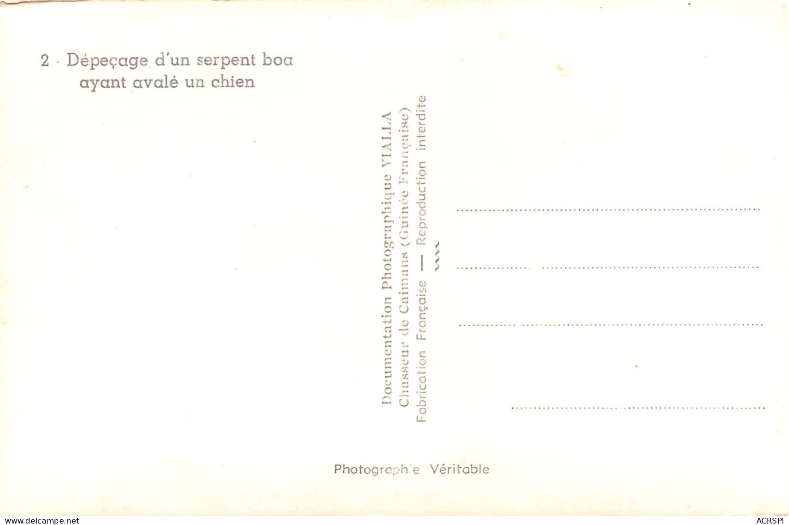 10 cartes Chasse au Caïman  GUINEE Française Vialla  Coyah   (Scan R/V) N°    37     \MR8054