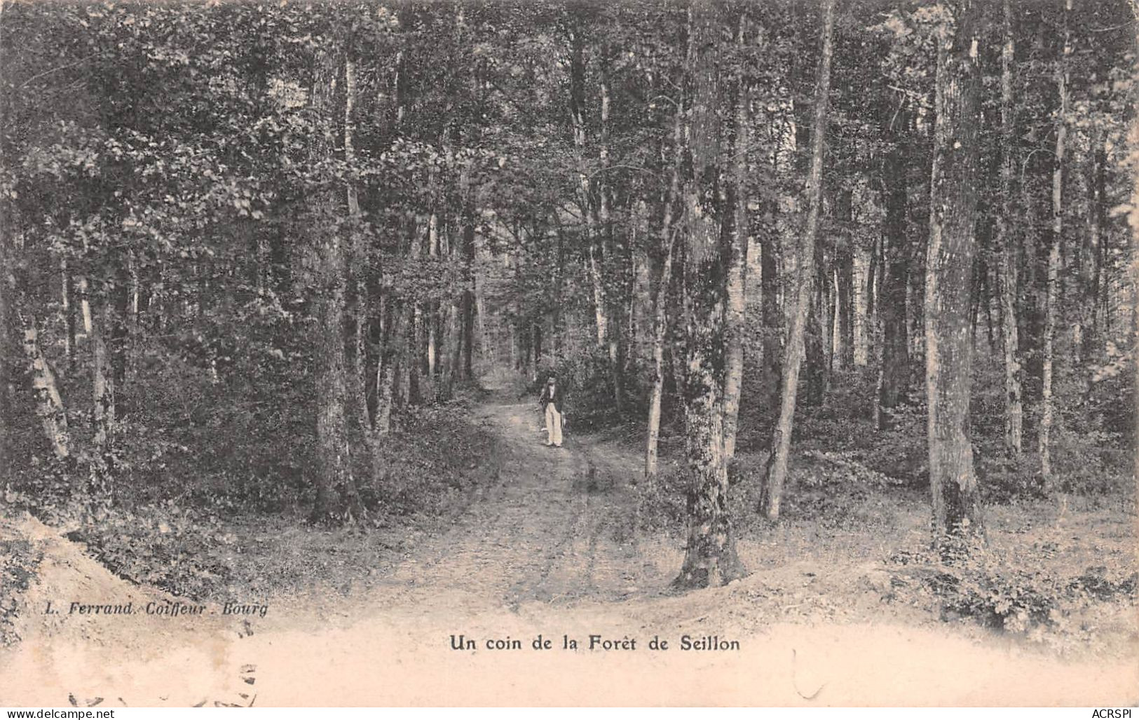 01 Un Coin De La Foret De SEILLON    (Scan R/V) N°   39   \MR8060 - Andere & Zonder Classificatie