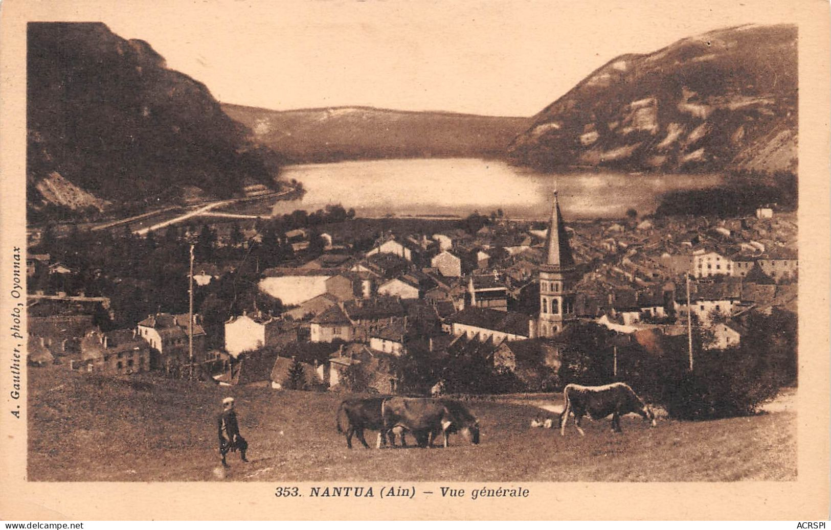 01  NANTUA  Vue  Générale Et Vaches Au Dessus De La Ville (Scan R/V) N°   71   \MR8059 - Nantua