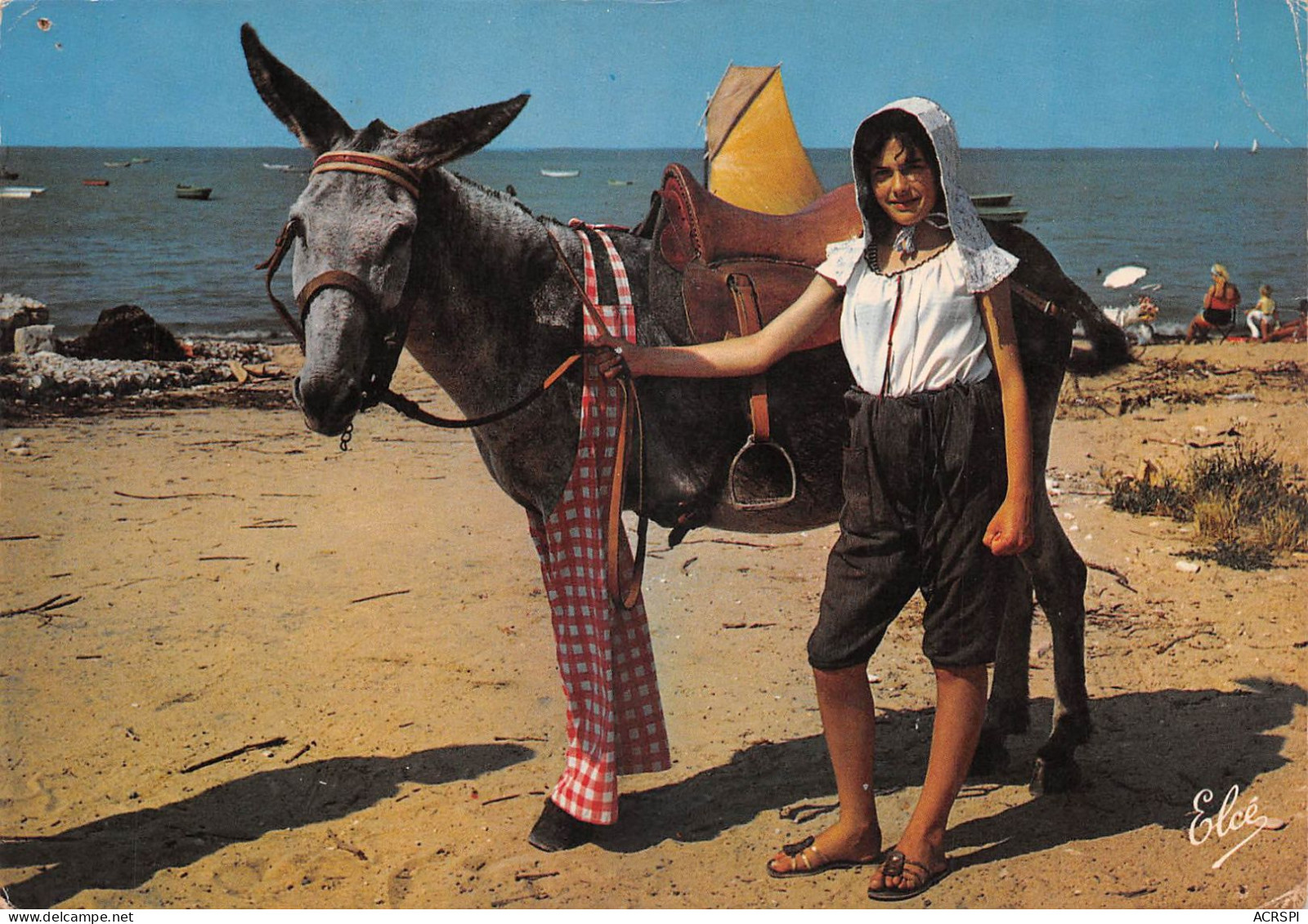 17 SAINT MARTIN DE Ré  Réthaise En Quichenotte Kiss Not Sur Son âne En Culotte      (Scan R/V) N°   51   \MR8074 - Saint-Martin-de-Ré