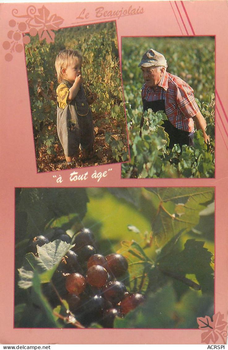 69  Vendanges En BEAUJOLAIS  VILLEFRANCHE  Morgon Fleurie       (scan R/V)  N°  56 \ MR8086 - Villefranche-sur-Saone