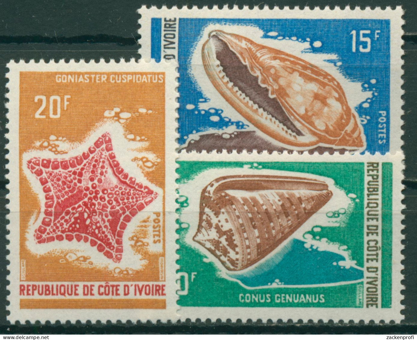 Elfenbeinküste 1971 Meerestiere Seestern Schnecken 376/78 Postfrisch - Côte D'Ivoire (1960-...)