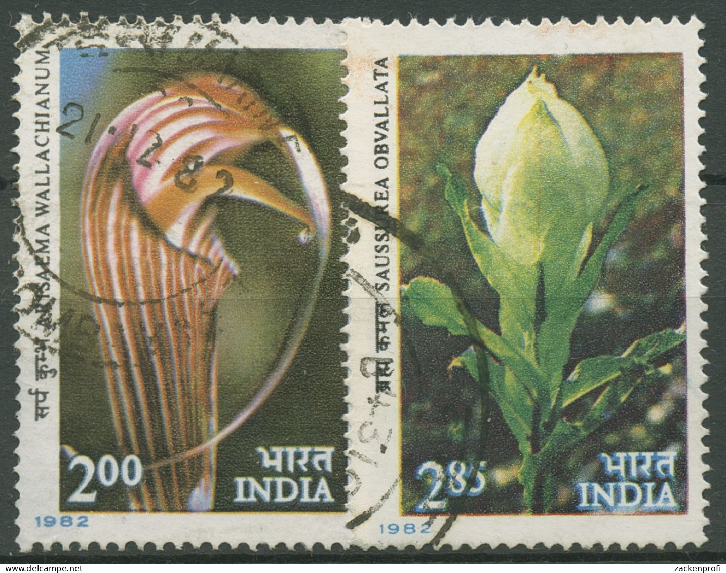 Indien 1982 Pflanzen Blumen Des Himalaya 910/11 Gestempelt - Gebraucht