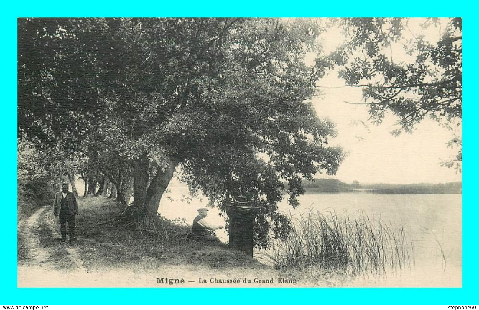 A876 / 099 36 - MIGNE Chaussée Du Grand Etang - Sonstige & Ohne Zuordnung