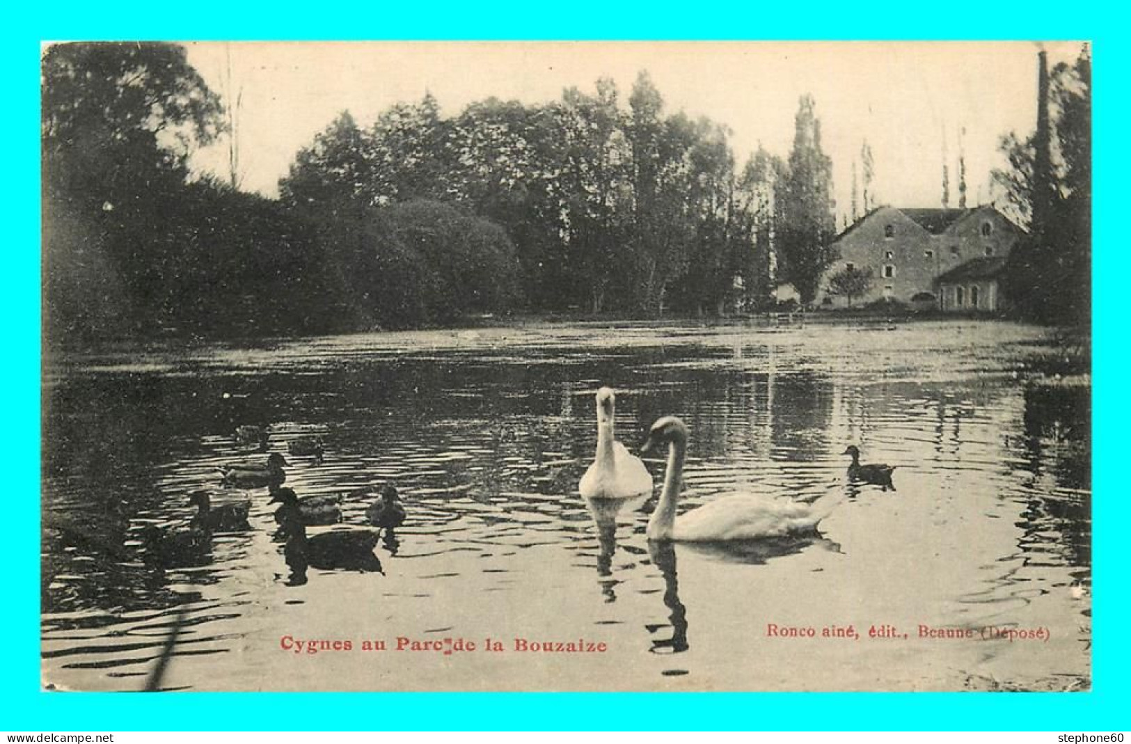 A874 / 105 21 - BEAUNE Cygne Au Parc De La Bouzaize - Beaune