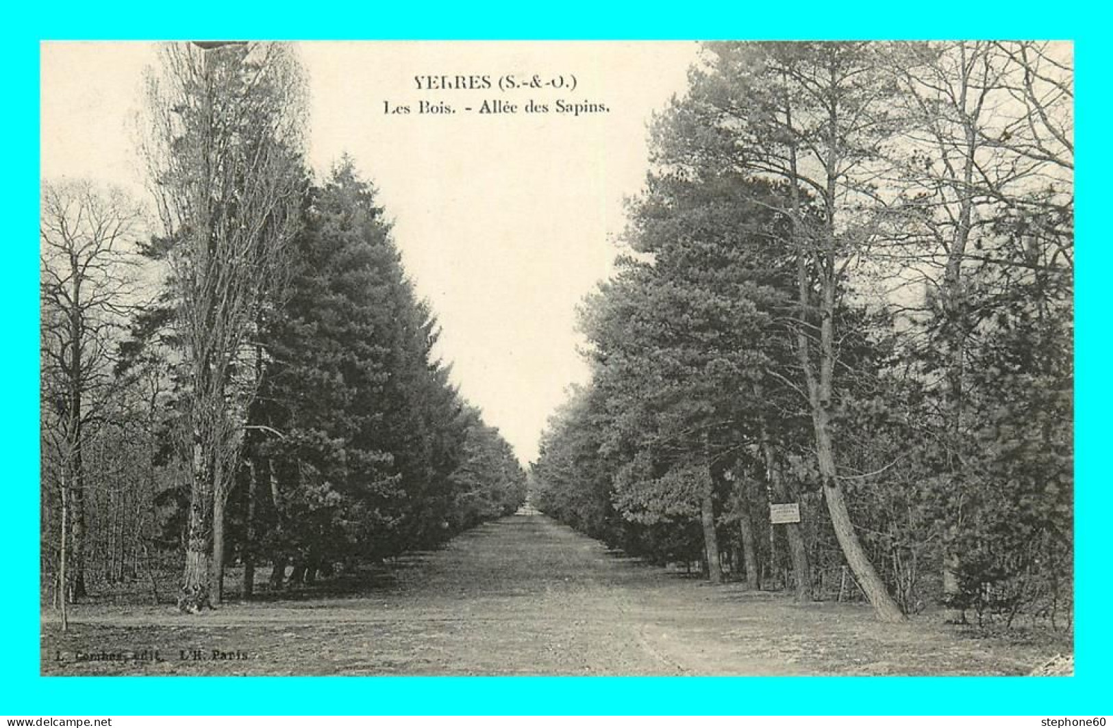 A875 / 123 91 - YERRES Les Bois Allée Des Sapins - Yerres