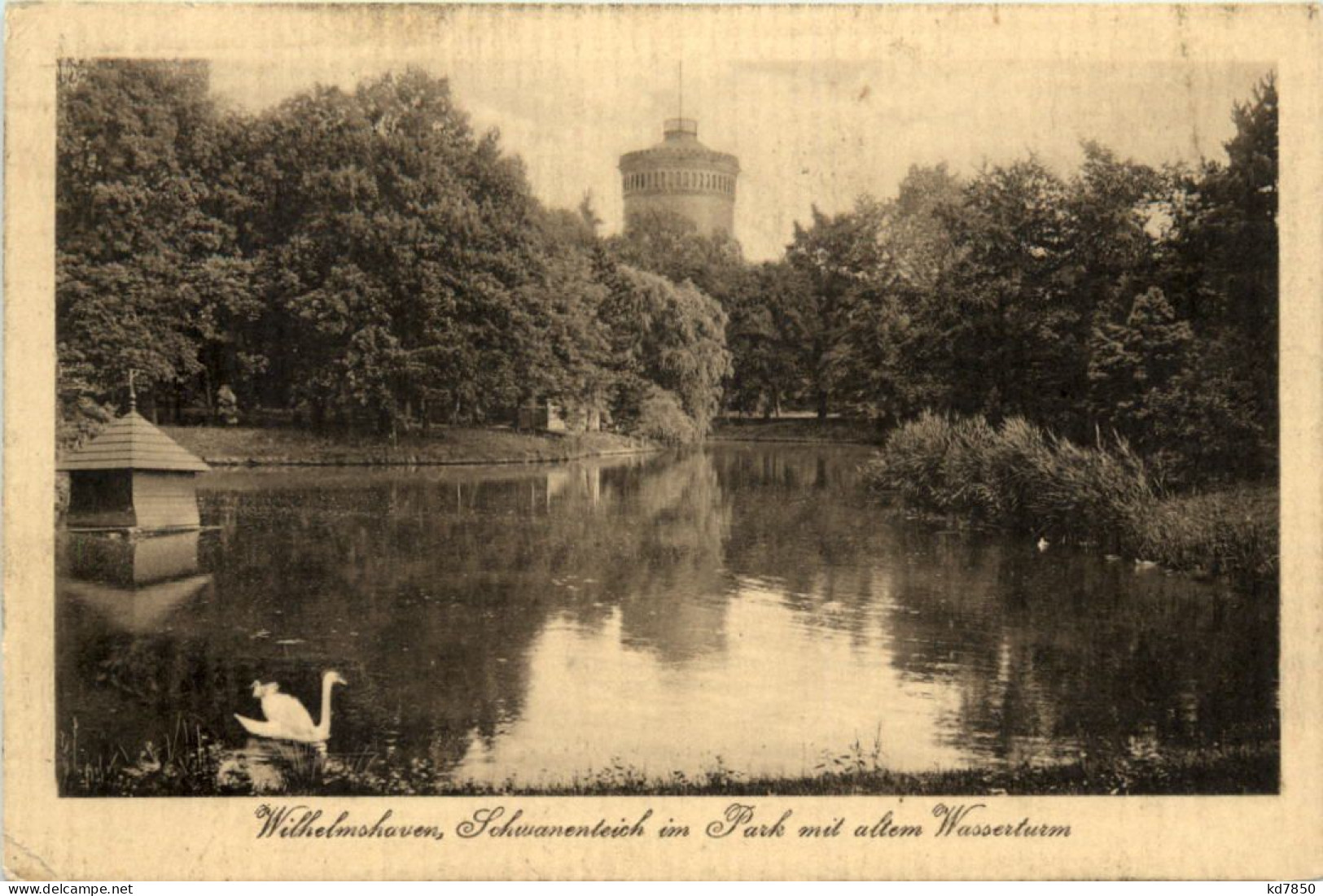 Wilhelmshaven - Schwanenteich Im Park - Wilhelmshaven