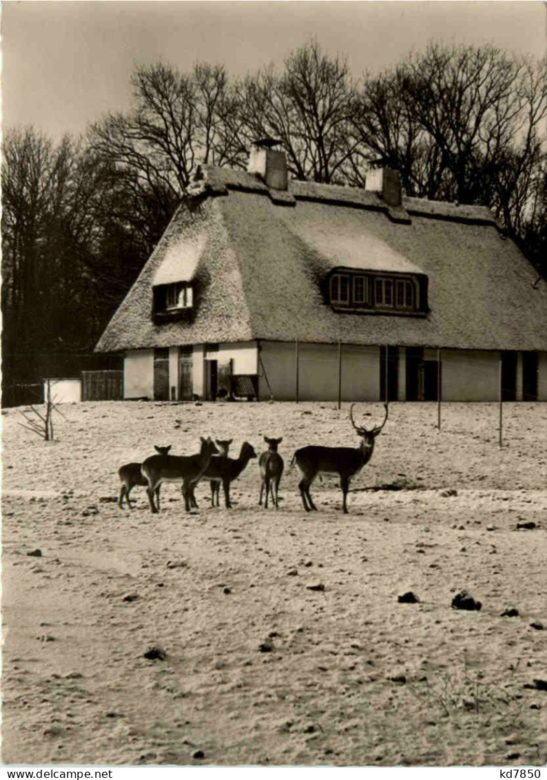 Bremen - Wildgehege Im Bürgerpark - Bremen