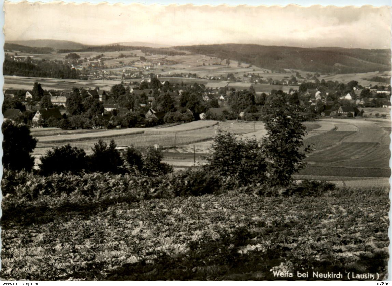 Weifa Bei Neukirch Lausitz, - Neukirch (Lausitz)