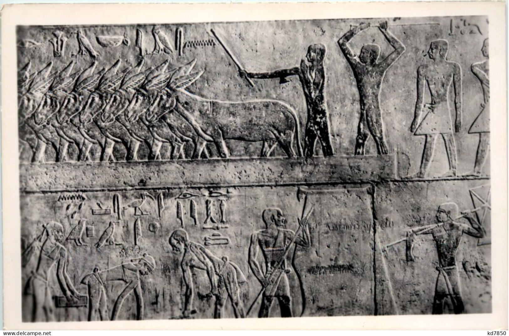 Egypt - Sakkara - Tomb Of Ti - Autres & Non Classés