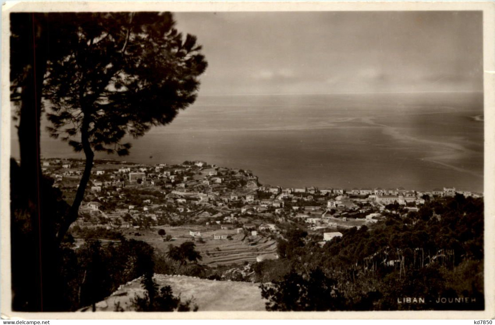 Liban - Jounieh - Lebanon