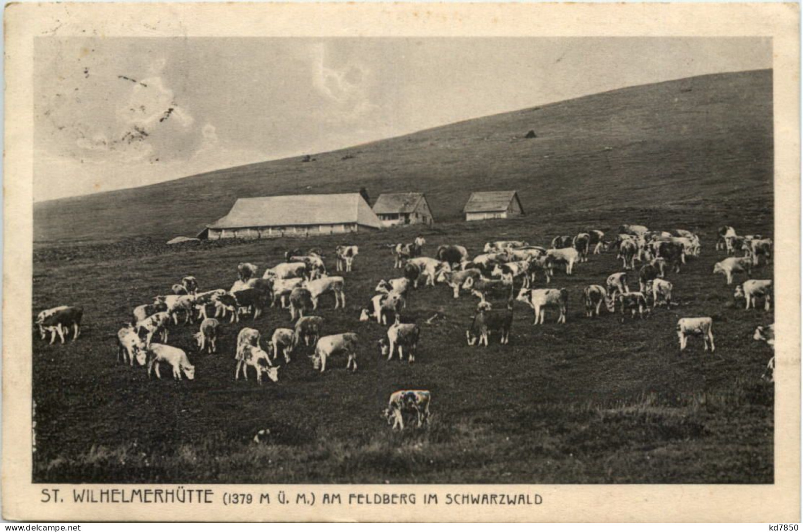 Feldberg I. Schwarzwald, St. Wilhelmerhütte - Feldberg