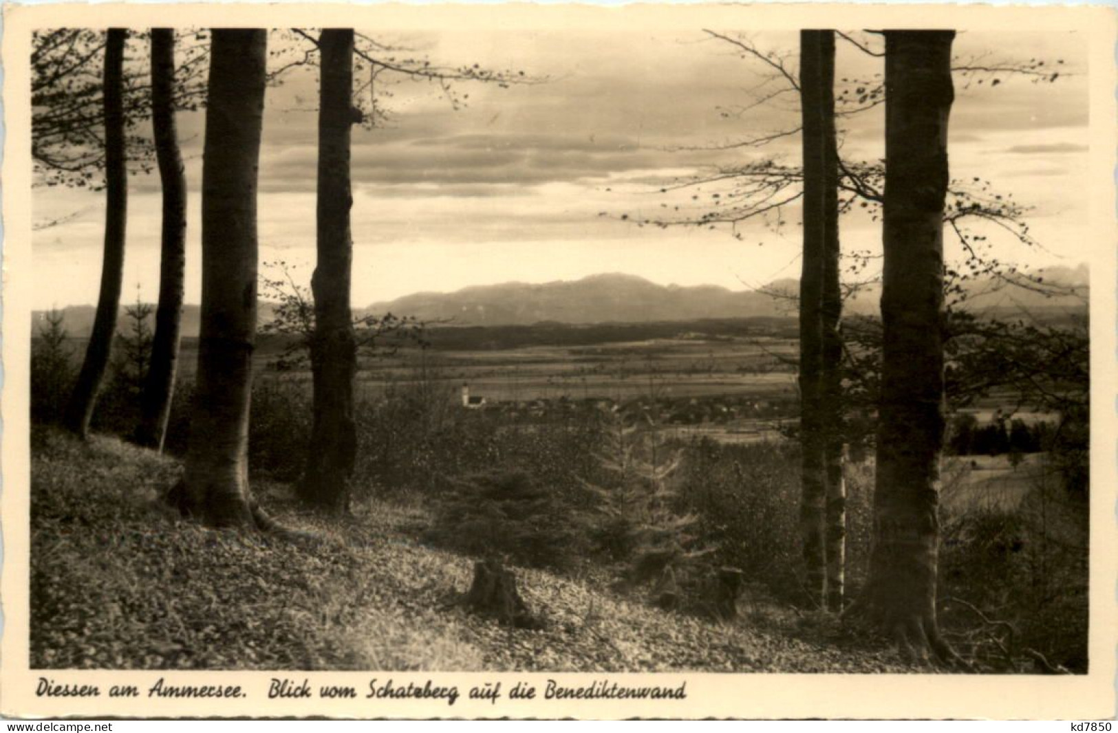 Am Ammersee, Diessen, Blick Vom Schatzberg Auf Die Benediktenwand - Diessen