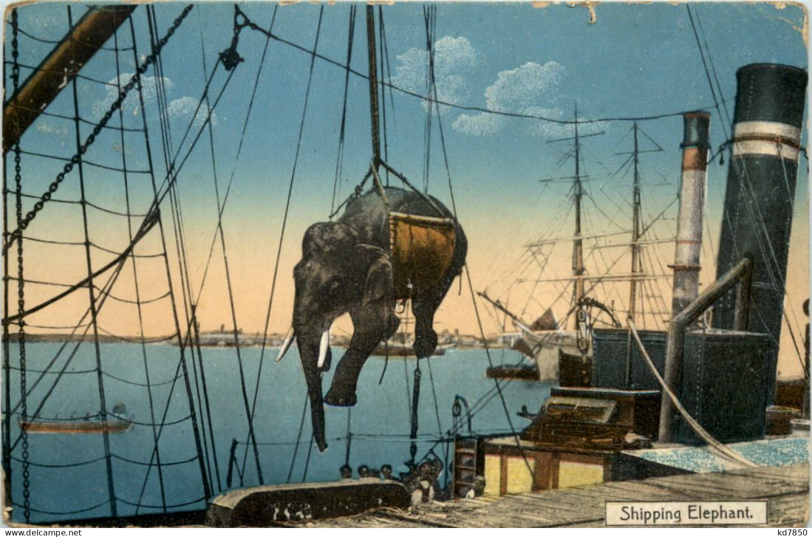 Myanmar - Shipping Elephant - Other & Unclassified