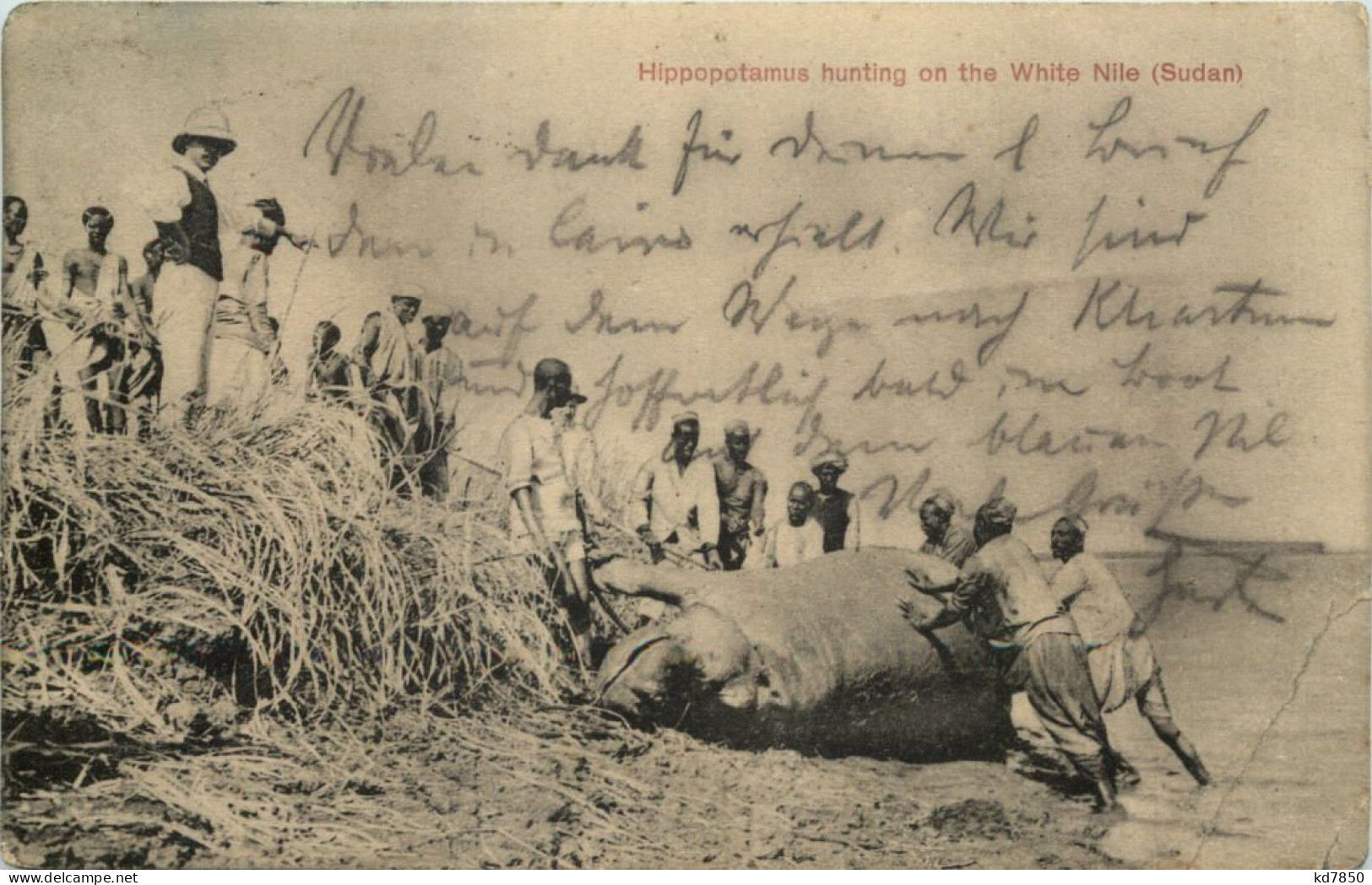 Hippopotamus Hunting On The White Nile Sudan - Jagd