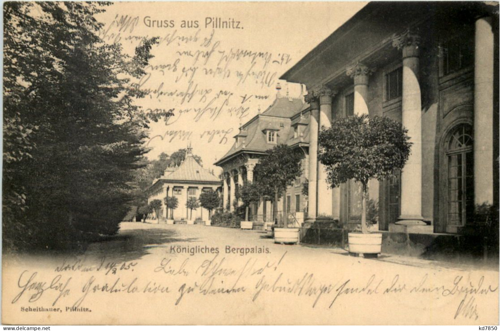 Pillnitz, Kgl. Bergpalais - Pillnitz