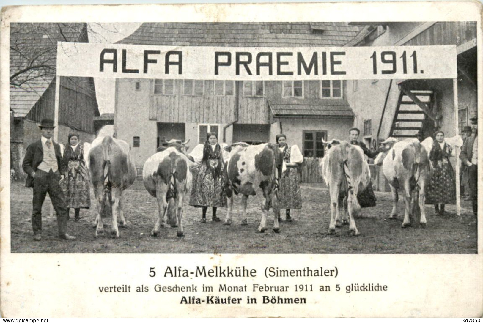 Alfa Käufer In Böhmen - Kühe - Bohemen En Moravië