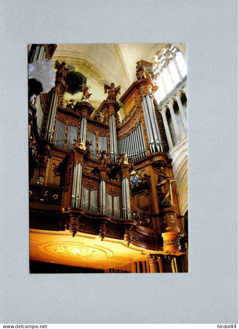 Saint Omer (62) : La Cathédrale - Les Grandes Orgues - Saint Omer