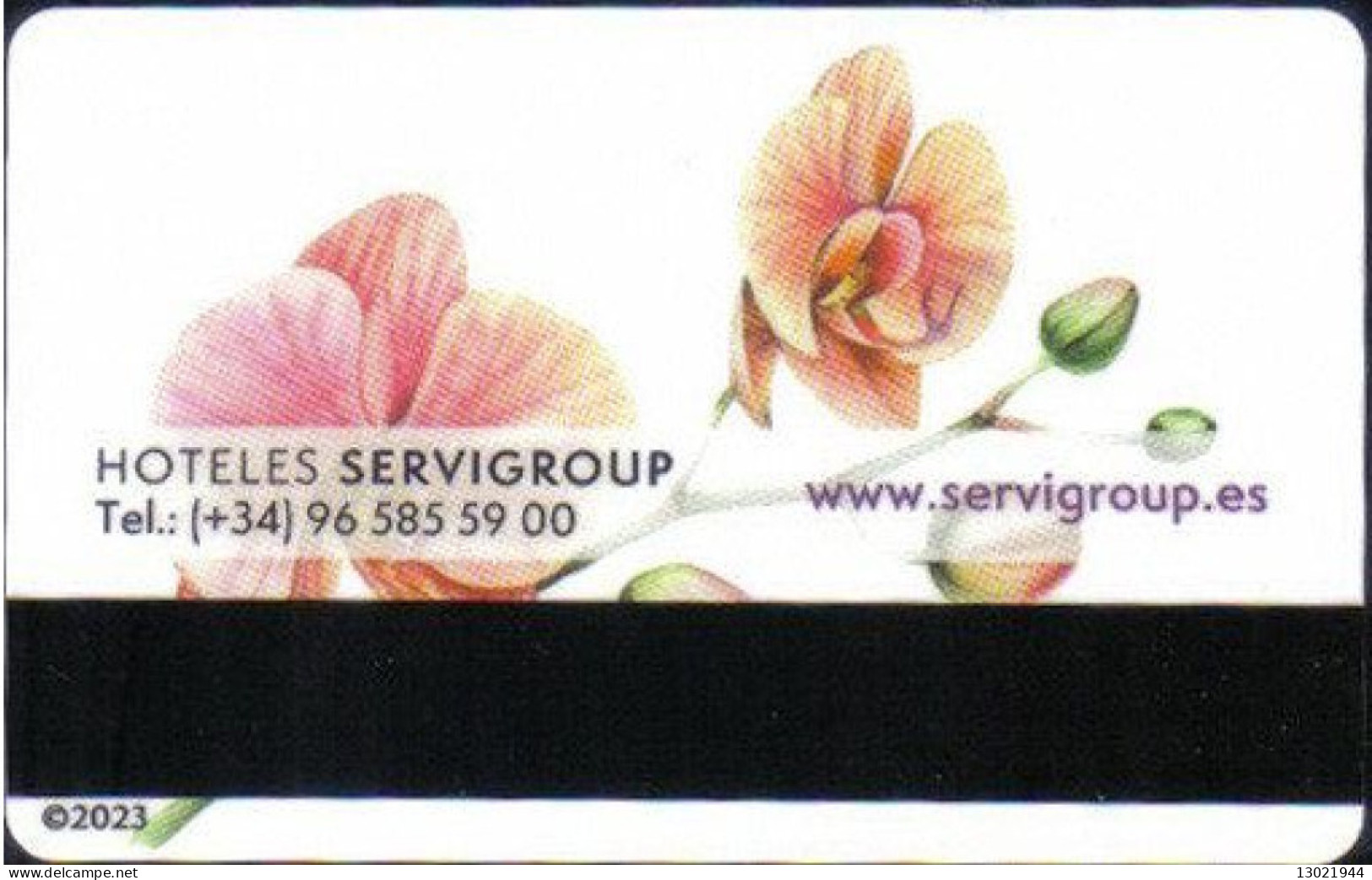 SPAGNA  KEY HOTEL  Hoteles Servigroup - Hotel Keycards
