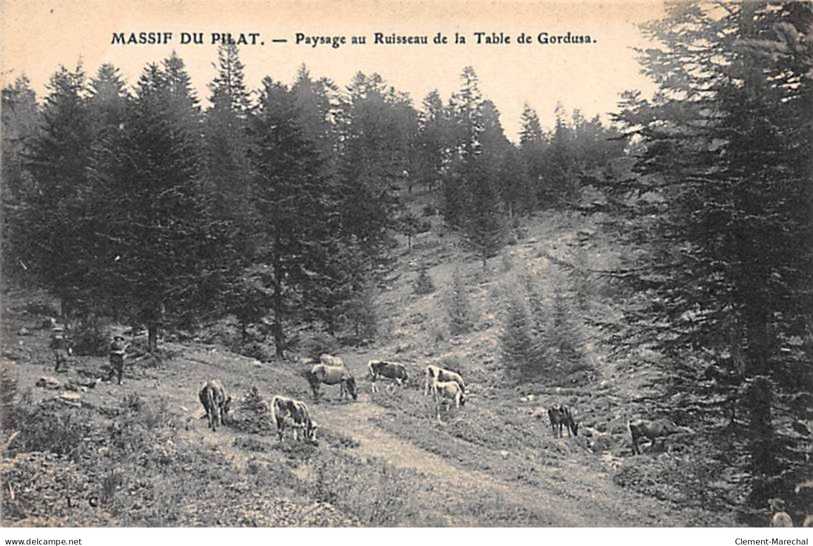 MASSIF DU PILAT - Paysage Au Ruisseau De La Table De Gordusa - Très Bon état - Mont Pilat