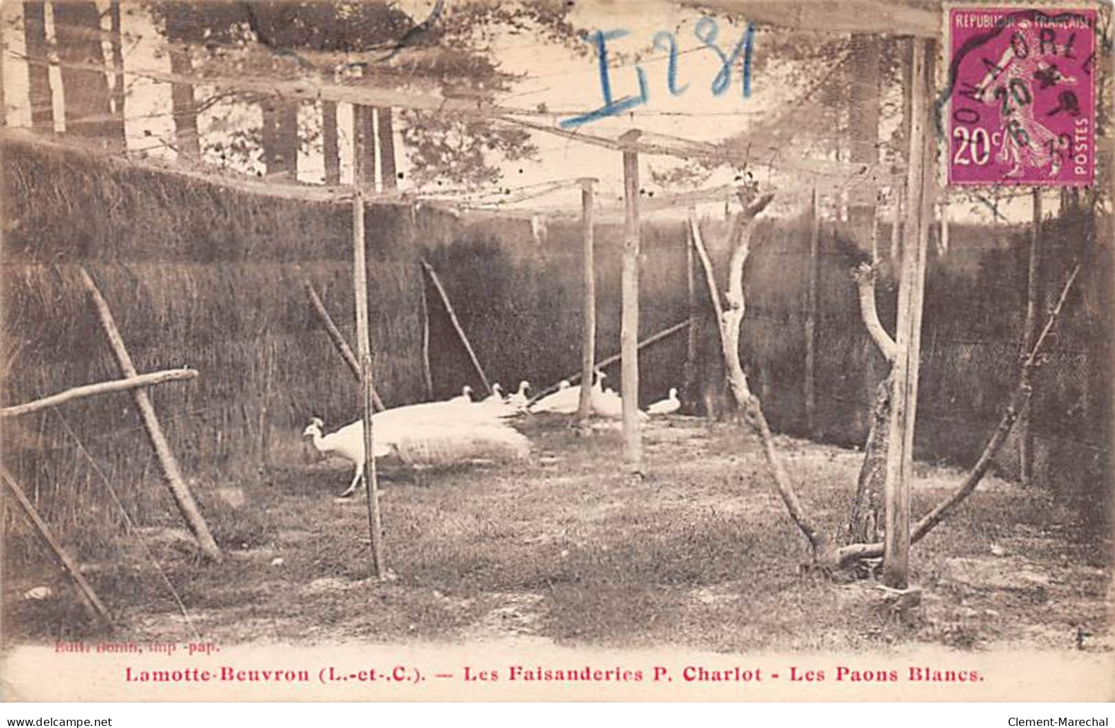 LAMOTTE BEUVRON - Les Faisanderies P. Charlot - Les Paons Blancs - Très Bon état - Lamotte Beuvron