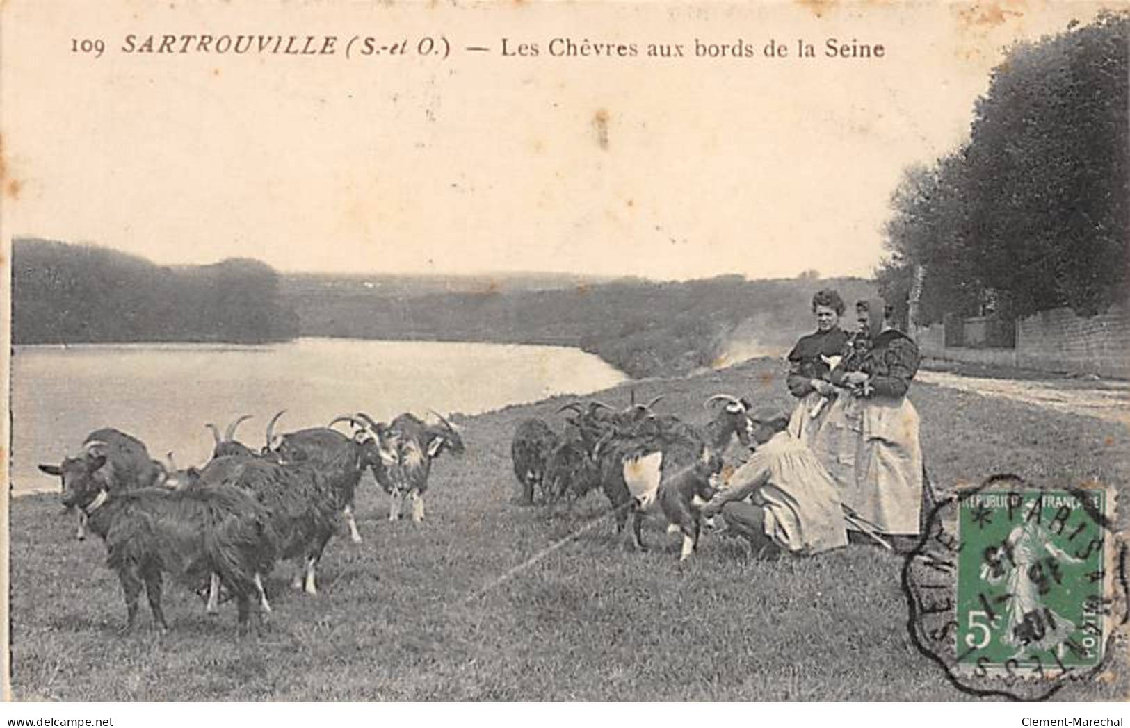 SARTROUVILLE - Les Chèvres Aux Bords De La Seine - Très Bon état - Sartrouville