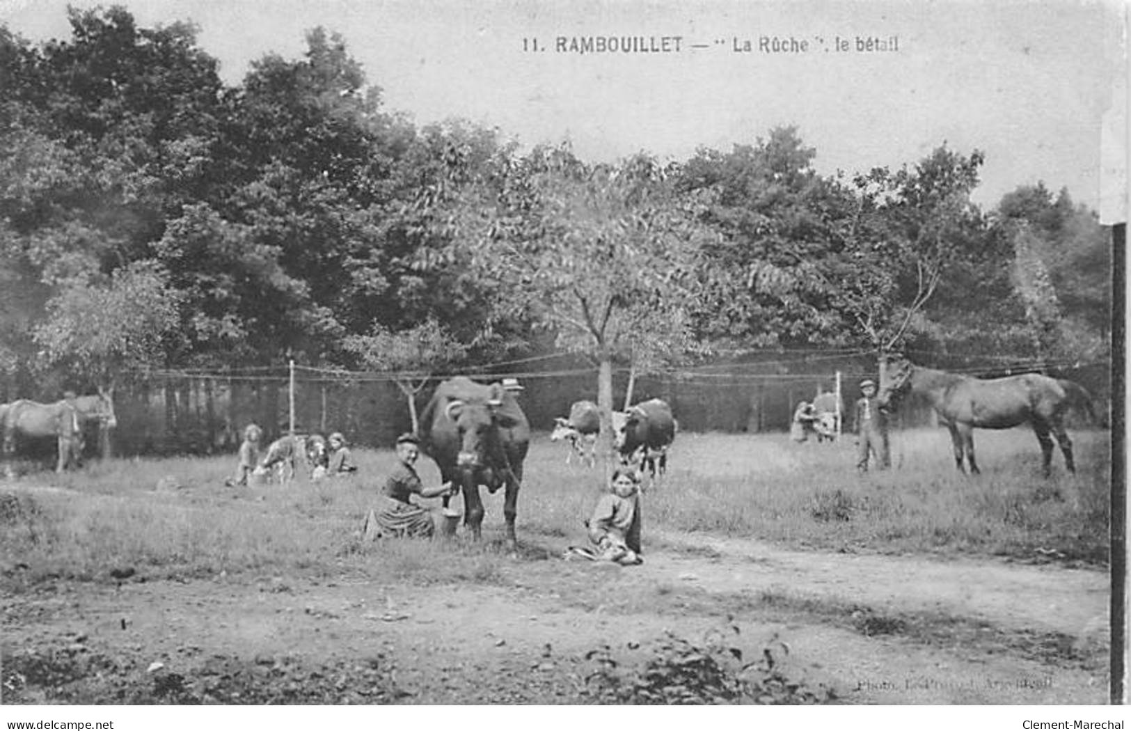 RAMBOUILLET - " La Ruche " - Le Bétail - Très Bon état - Rambouillet