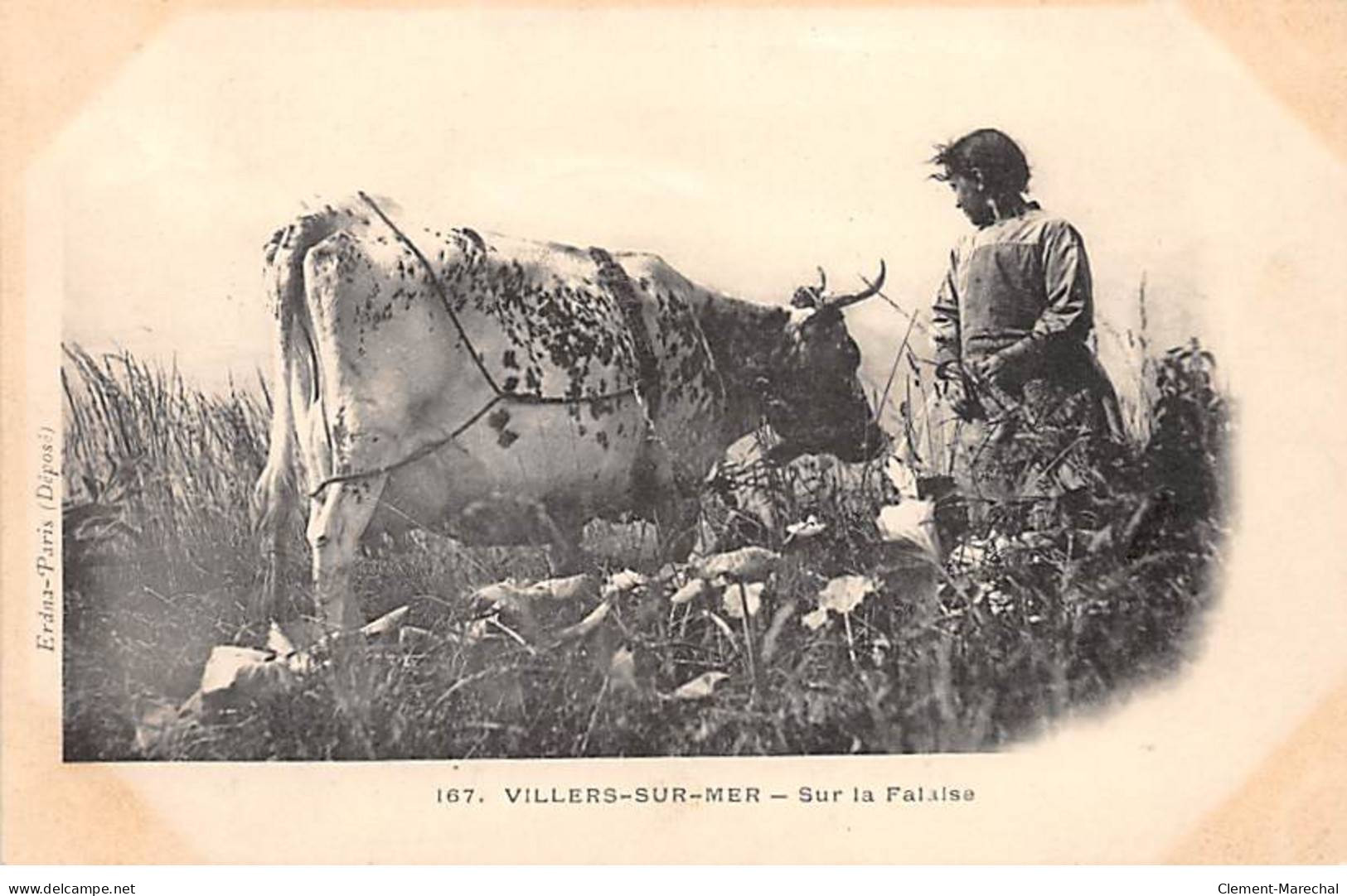 VILLERS SUR MER - Sur La Falaise - Très Bon état - Villers Sur Mer