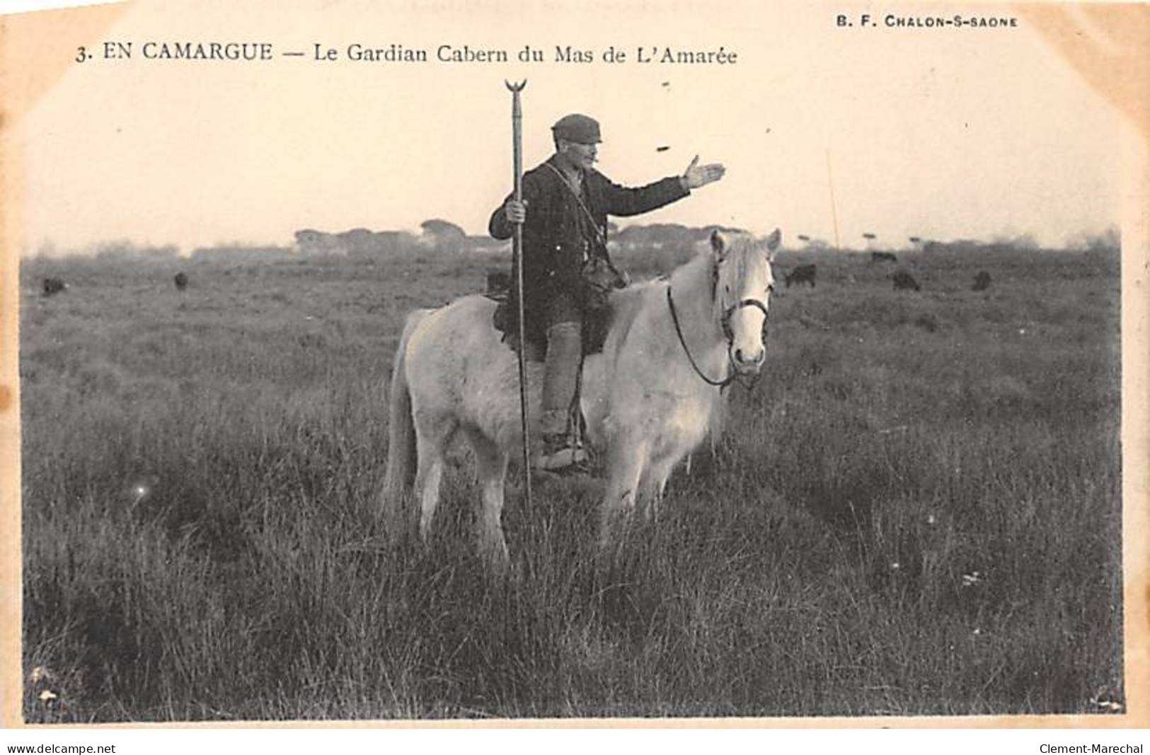 EN CAMARGUE - Le Gardian Cabern Du Mas De L'Amarée - Très Bon état - Sonstige & Ohne Zuordnung