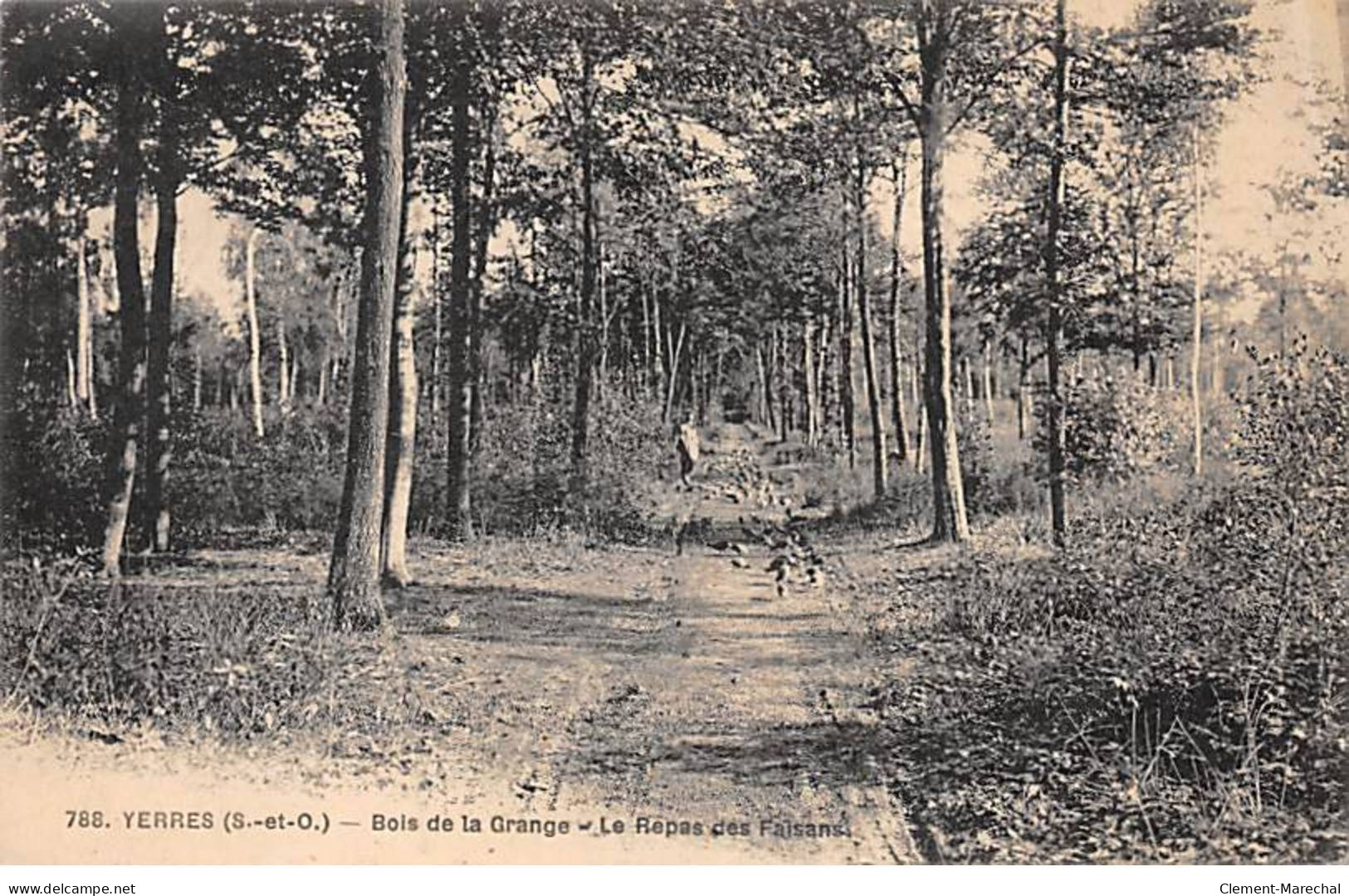 YERRES - Bois De La Grange - Le Repas Des Faisans - Très Bon état - Yerres