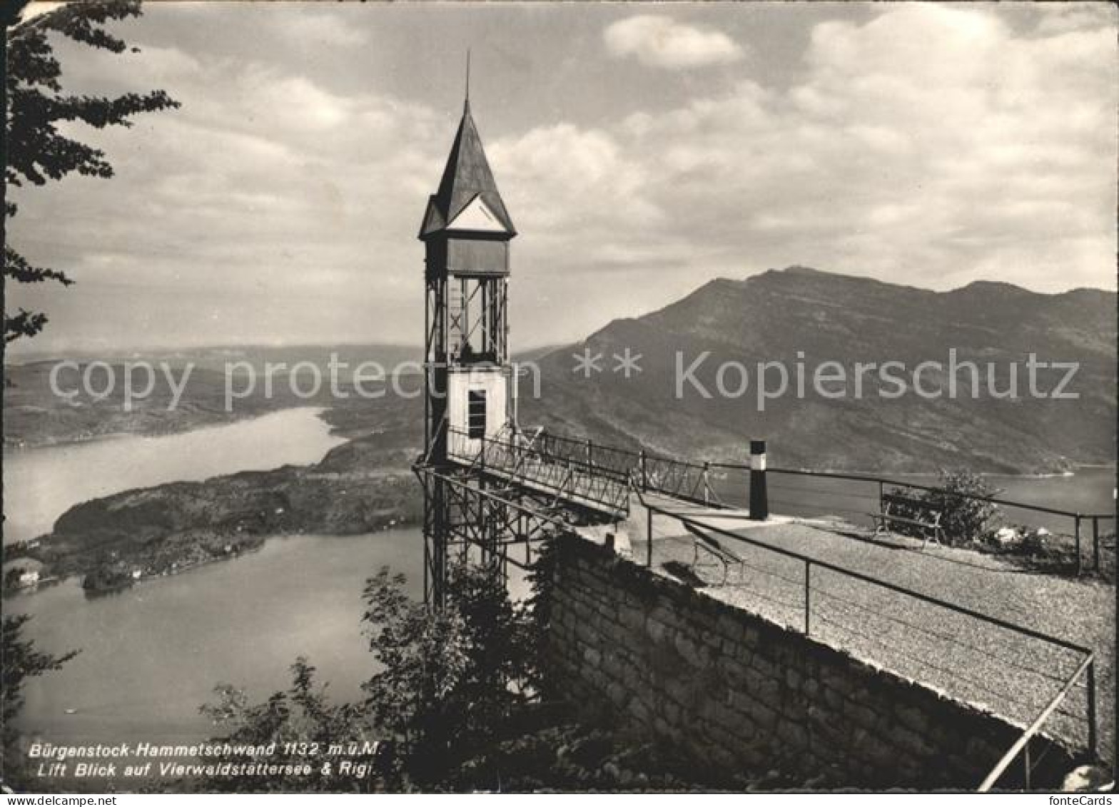11647997 Buergenstock Hammetschwand Vierwaldstaettersee Rigi Buergenstock - Otros & Sin Clasificación