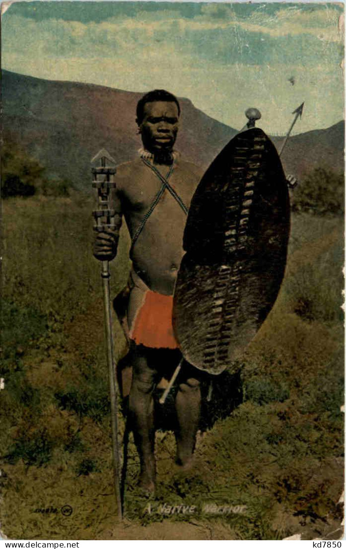 A NAtive Warrior - South Africa - South Africa