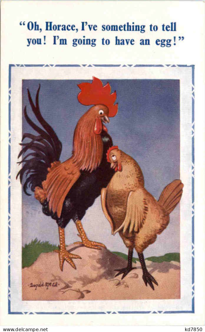Oh Horace- I Ve Something To Tell You - Chicken - Humor